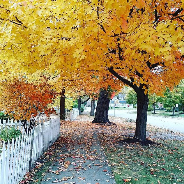 Fall Colors - @ecofityogi